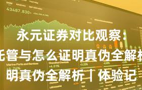 永元证券对比观察：实盘与托管与怎么证明真伪全解析｜体验记
