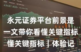 永元证券平台前景是否可靠？一文带你看懂关键指标｜体验记