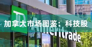 加拿大市场图鉴：科技股