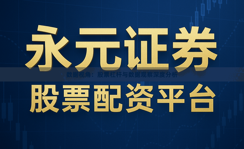 数据视角：股票杠杆与数据观察深度分析